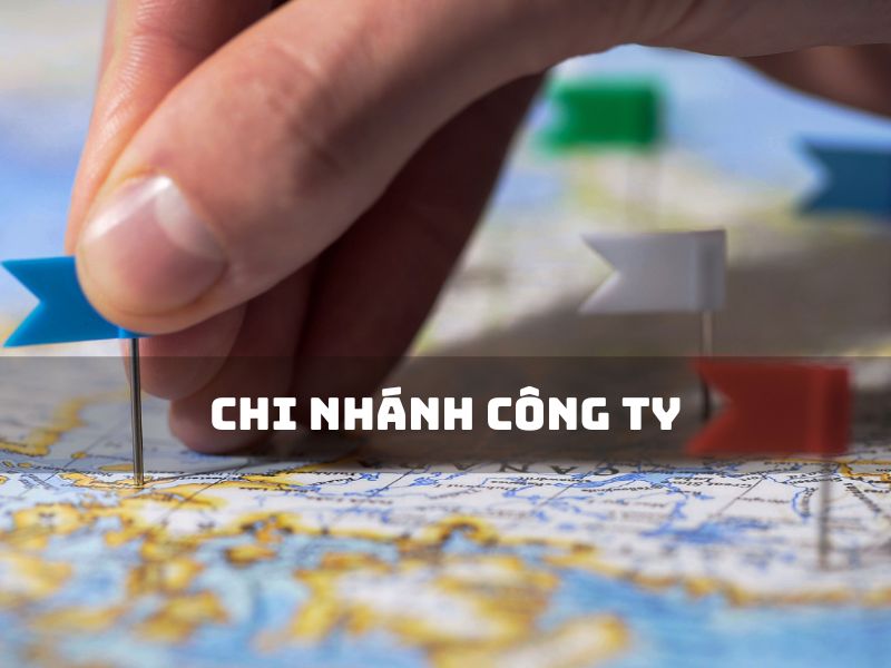 Chi Nhánh Công Ty Bình Định