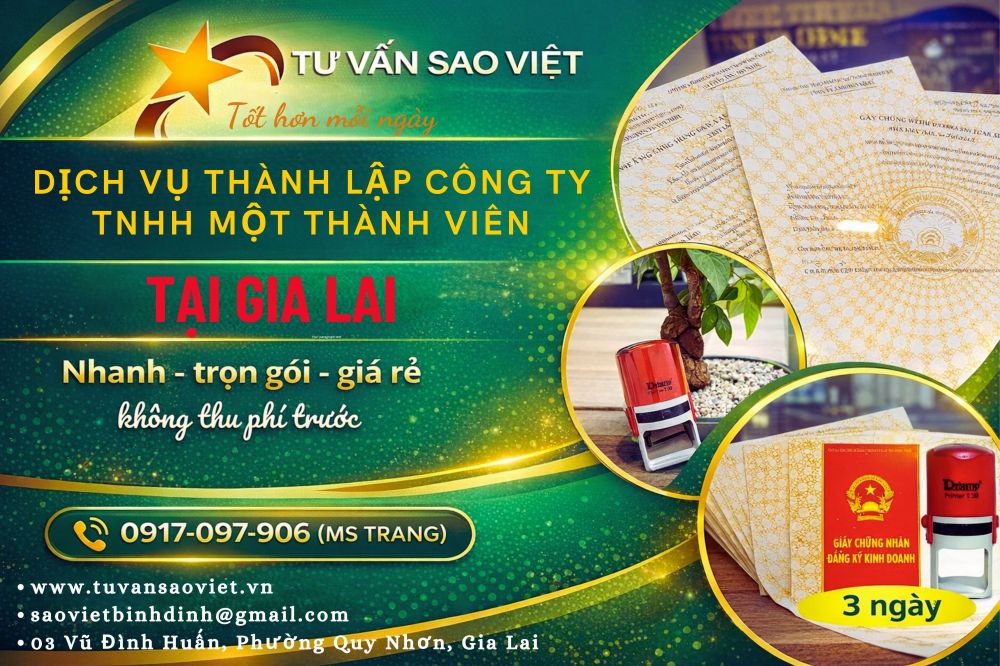 Công ty TNHH 1 Thành Viên: Cẩm Nang Toàn Tập Từ Pháp Lý Đến Thực Tiễn 